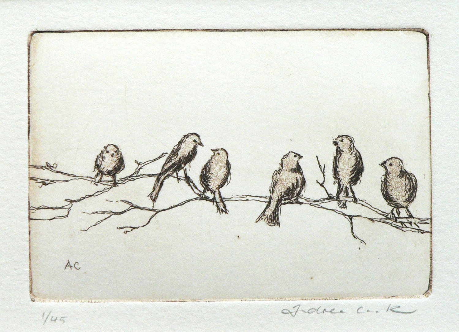 original etching and aquatint of birds on a branch