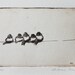 original etching 'birdy nam nams'