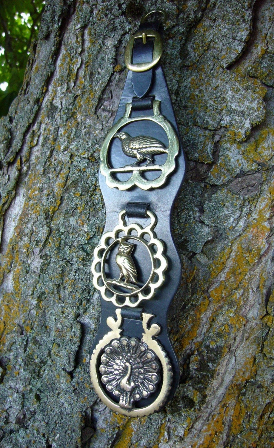 English Horse Brasses on Leather Martingale by Harmonycraft