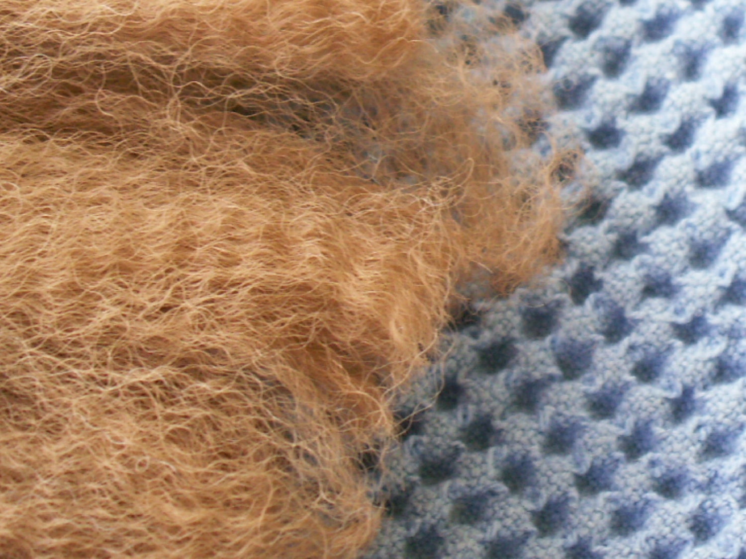 FRESH FIBER -  GORGEOUS Raw Alpaca Fiber Warm Auburn Brown