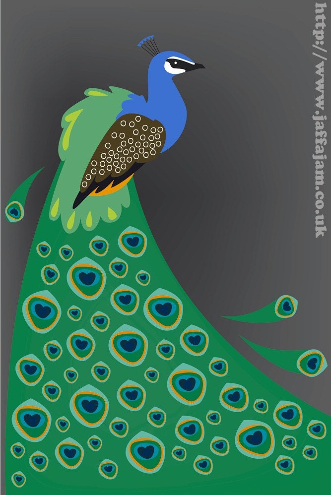Indian Peafowl - 10 x 15 inch print