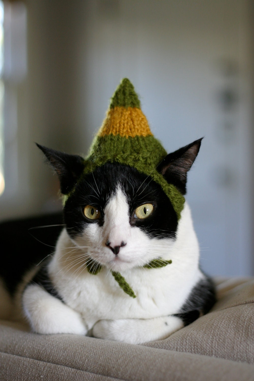 Buddy the Elf Cat Hat