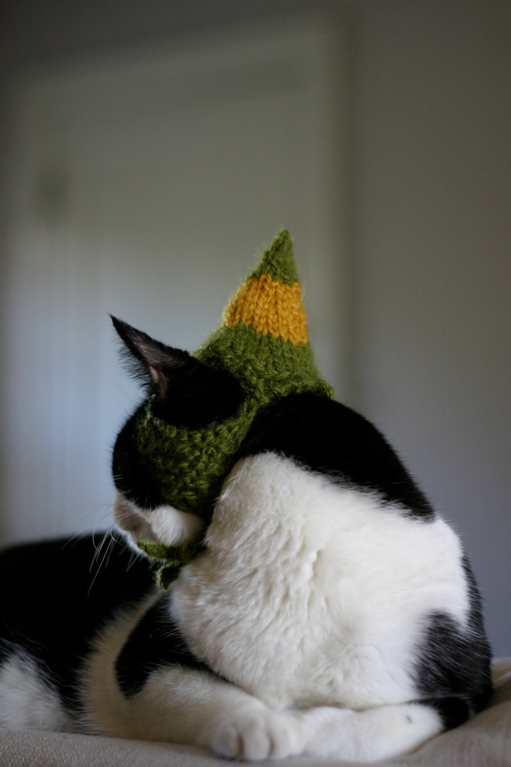 Buddy the Elf Cat Hat