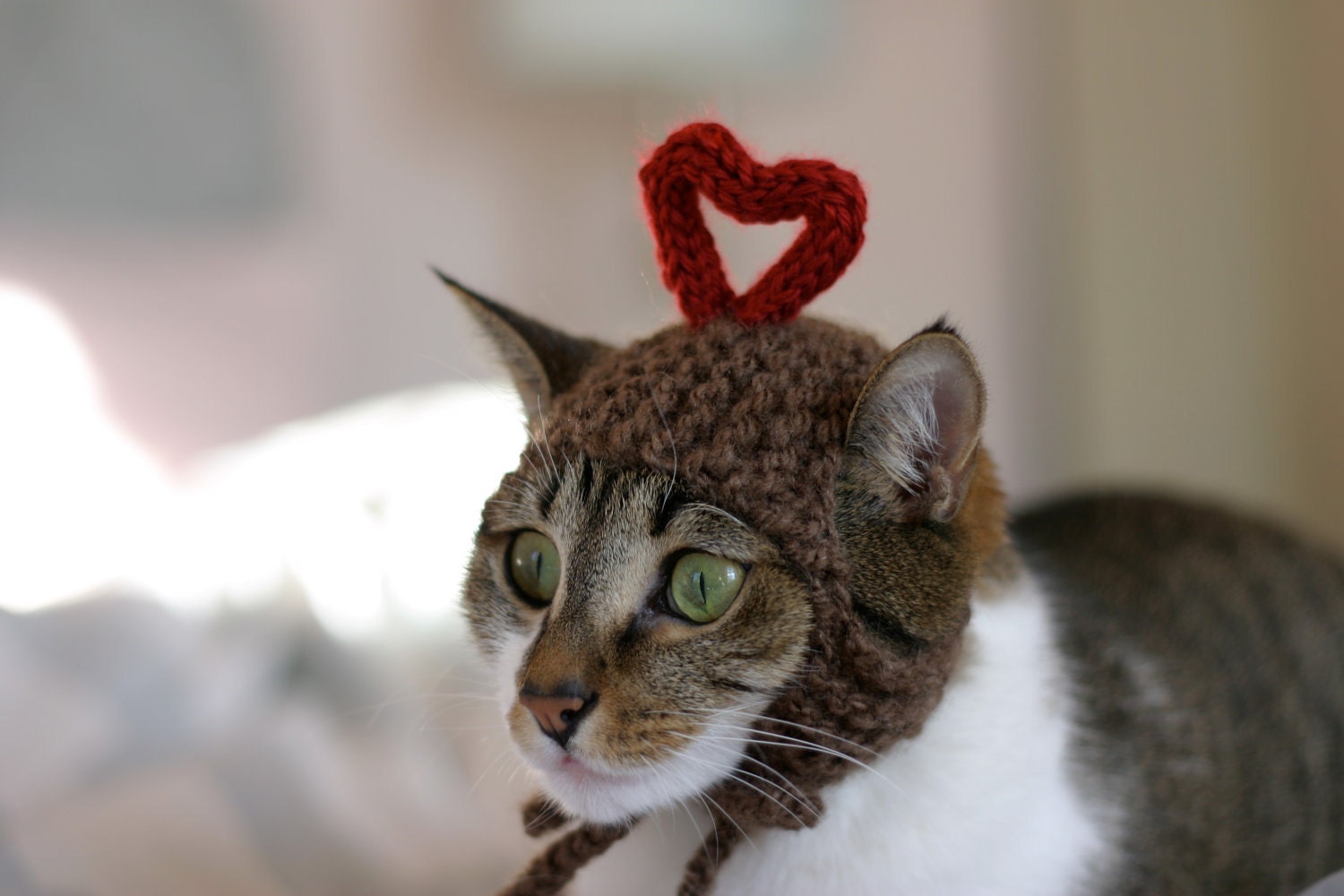 i-heart-you-cat-hat-valentine-s-day-holiday-love-by-scooterknits