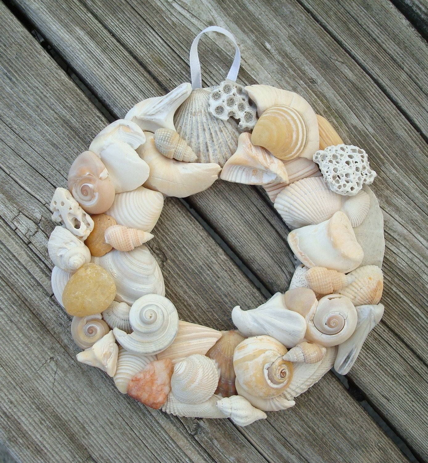 Shell Wreath - 4 1/4 inch - Natural Shell Wreath - Beach Home Decor - Shell Wall Hanging