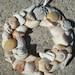 Shell Wreath - 4 1/4 inch - Natural Shell Wreath - Beach Home Decor - Shell Wall Hanging
