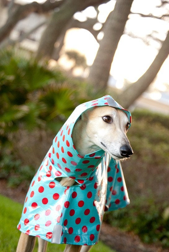 Dog Raincoat Slicker - Red Polka Dots on Turquoise