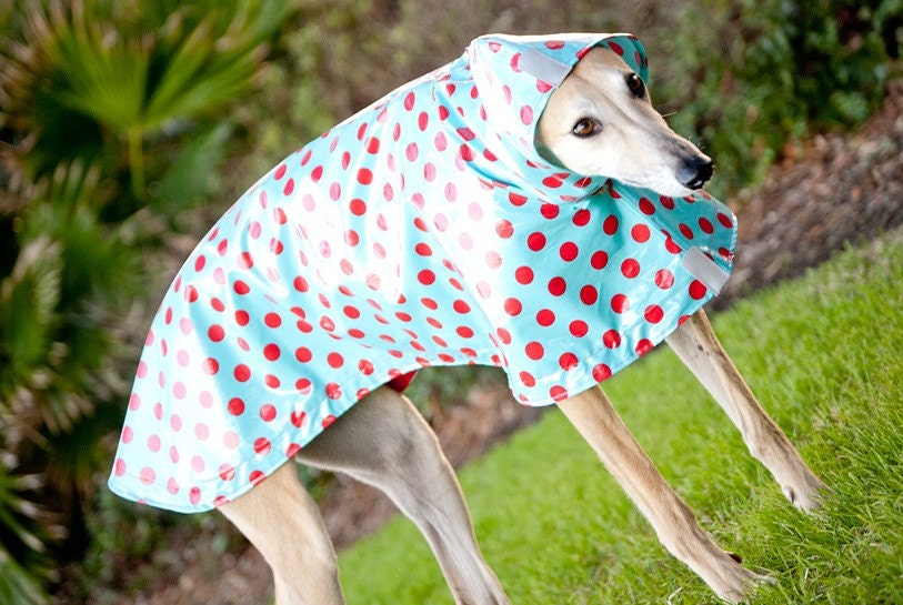 Dog Raincoat Slicker - Red Polka Dots on Turquoise