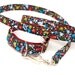 Leash and Martingale Collar Set - Boo Help Yum