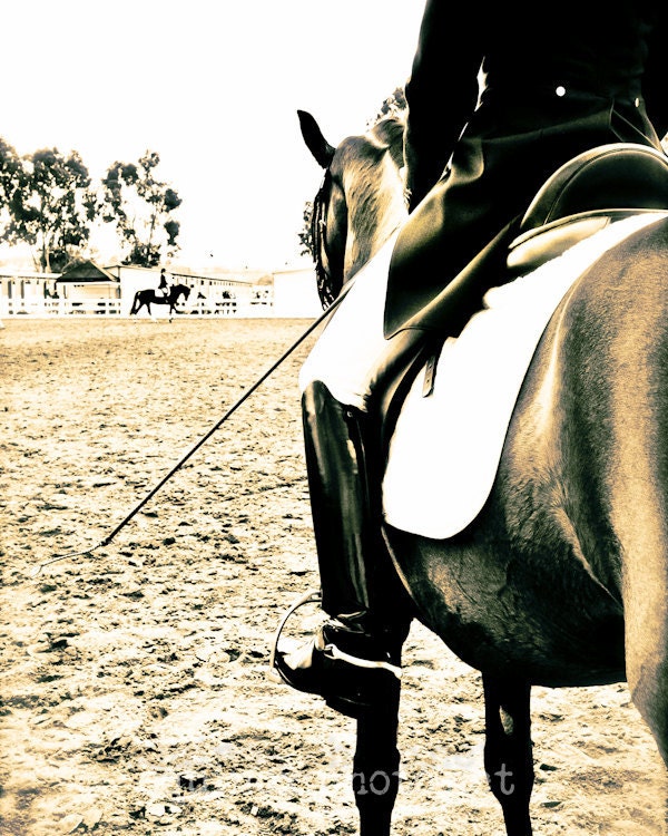 8x10  fine art metallic  horse photograph