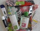 Medium Ouch PouchTM Clear First Aid Organizer Purse Car Diaper Bag College Dorm  (5x7 Mod Gray Floral Fabric)