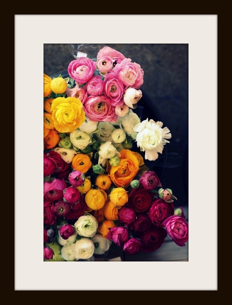 Pictures of Flowers Ranunculus Photograph Art