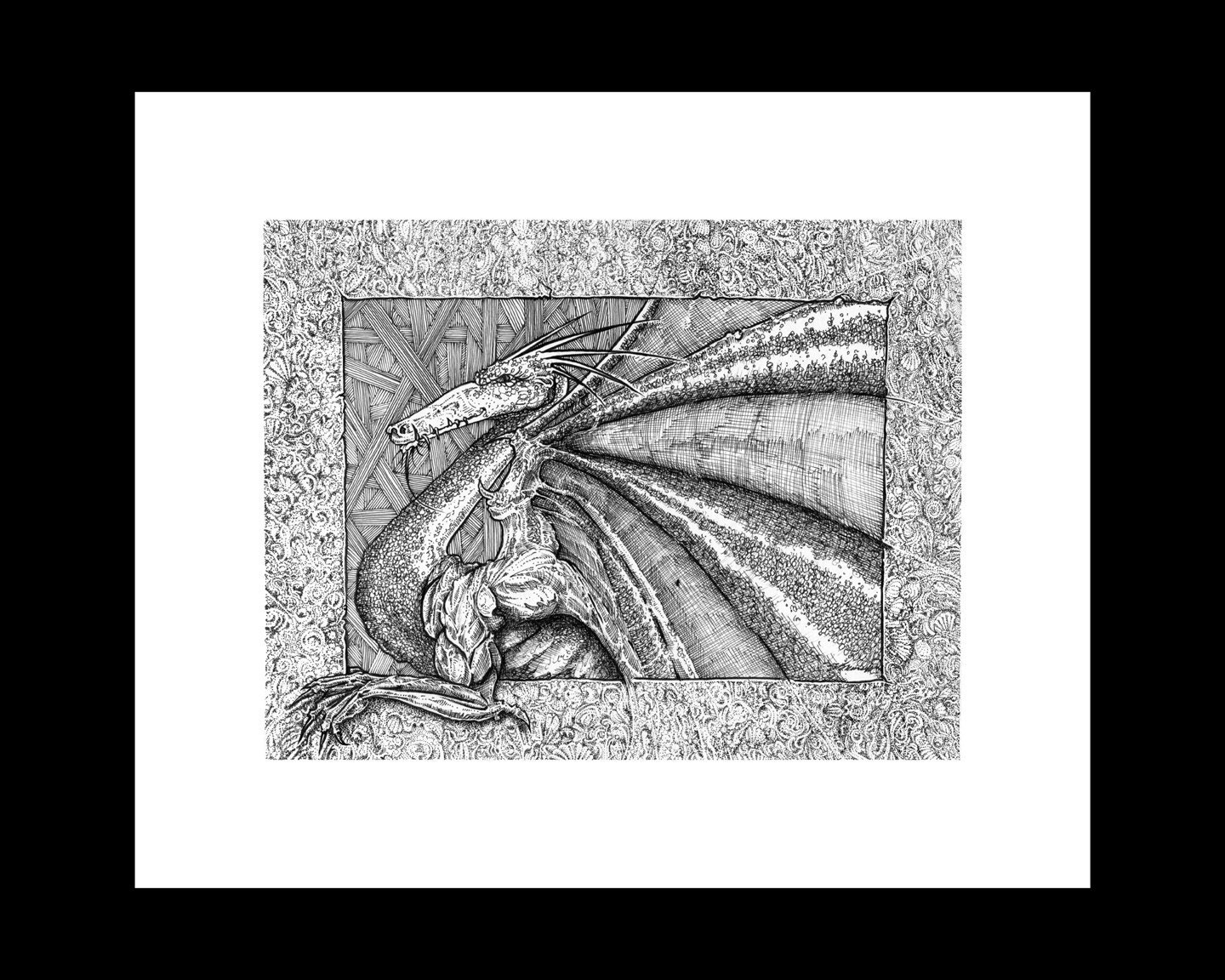 Florida Dragon