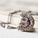 Owl jewelry - Owl locket - Steampunk jewelry (L010)
