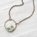 Natural History necklace - Botanical jewelry (N029)
