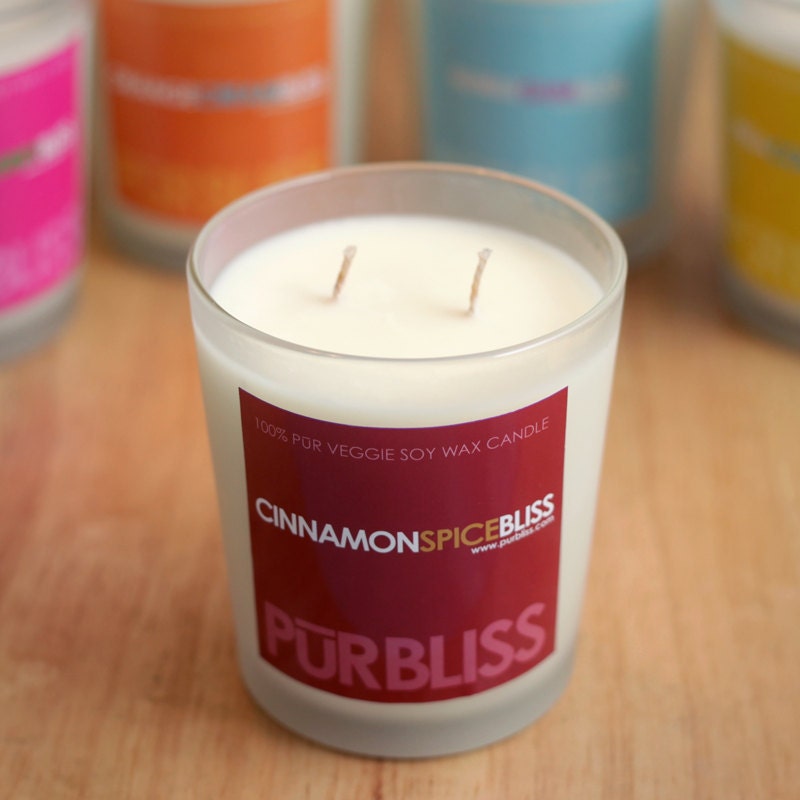 CINNAMON SPICE Soy Candle - Large Jar