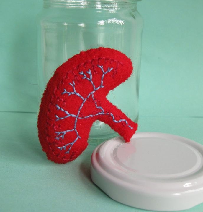 Placenta Jar Anatomical Curio Specimen SALE ITEM