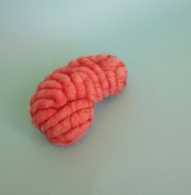 Brain Brooch Anatomical Curio Side View
