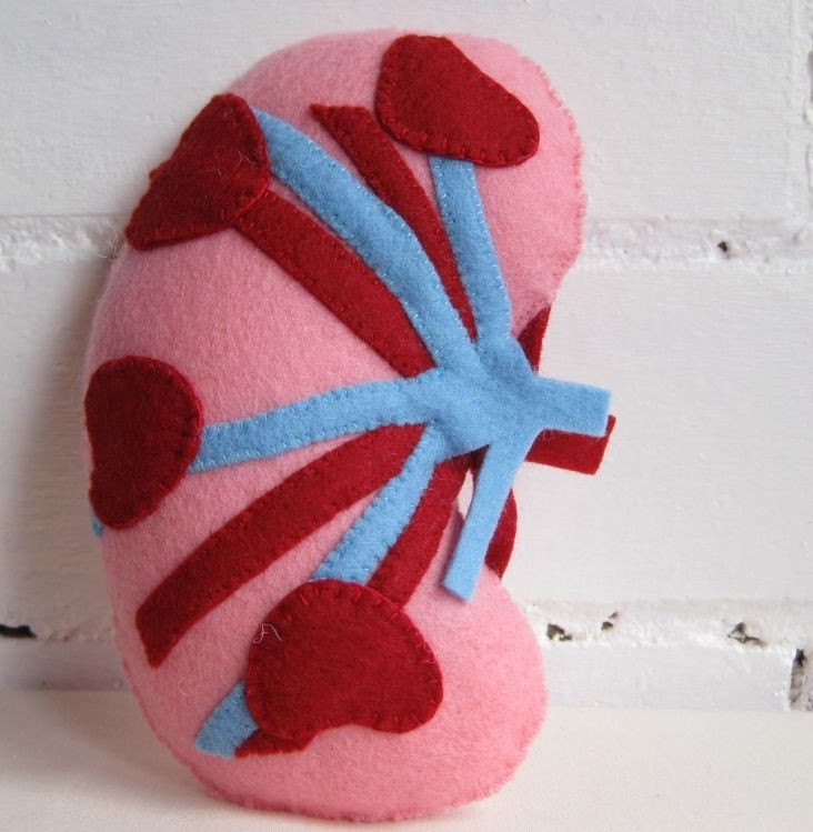 kidney plush pillow