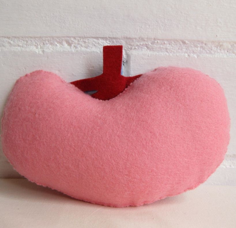 Kidney Plush