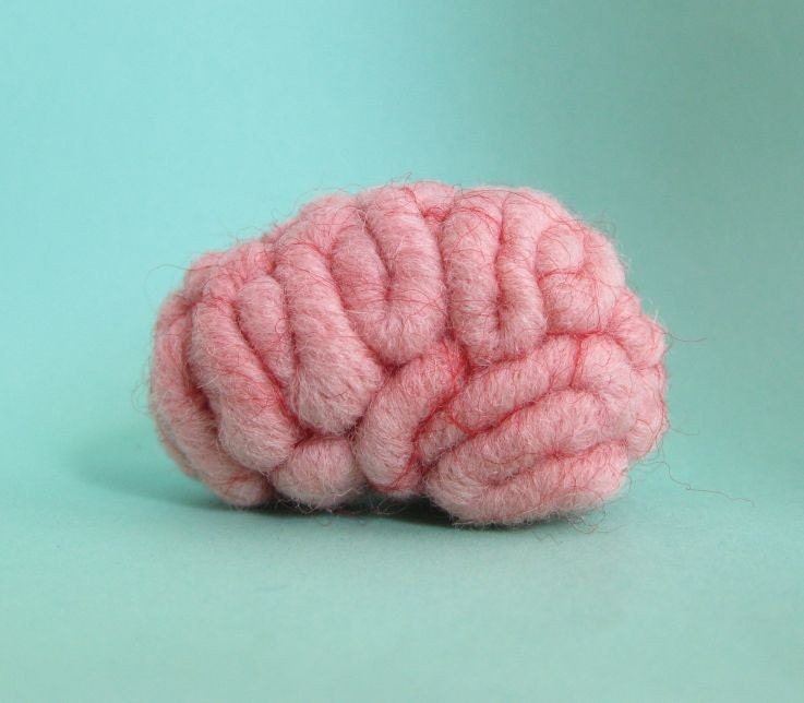 Specimen Jar Brain Anatomical Curio Medium Sized No.2