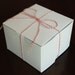 Small Square White Bakery Boxes - Set of 5