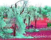 BOGO 50% off -  CYBER SALE -- Bleeding Fields - 5x7 - Fine Art Photo