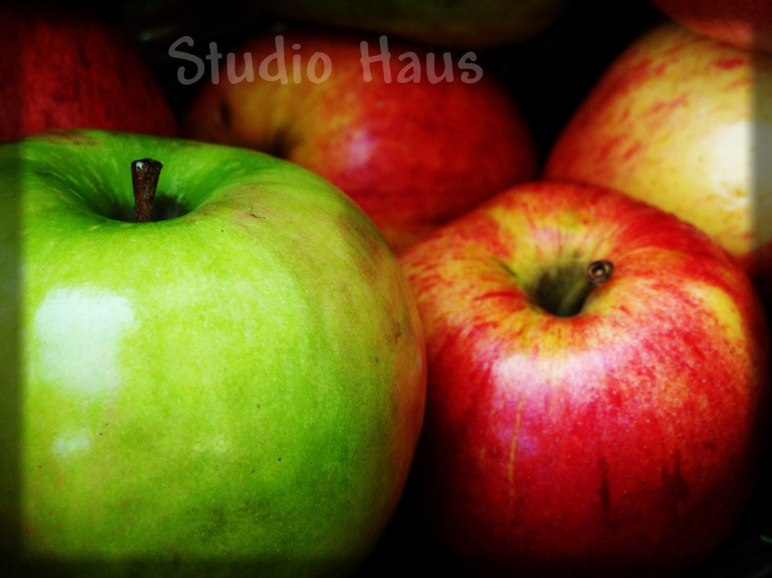 BOGO 50% off -  CYBER SALE -- Quite A Pair - 5x7 - Fine Art Photography Print