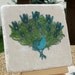 Peacock Coasters, Set of 4, Ready to Ship
