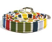 Happy colorful striped leash for joyful dogs