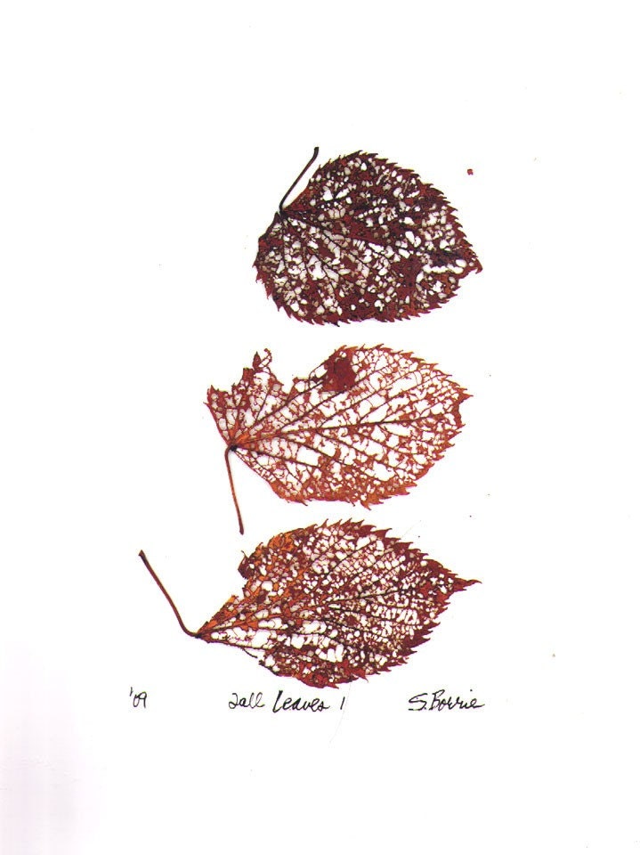 Fall Leaves 1 - Archival Digital Print