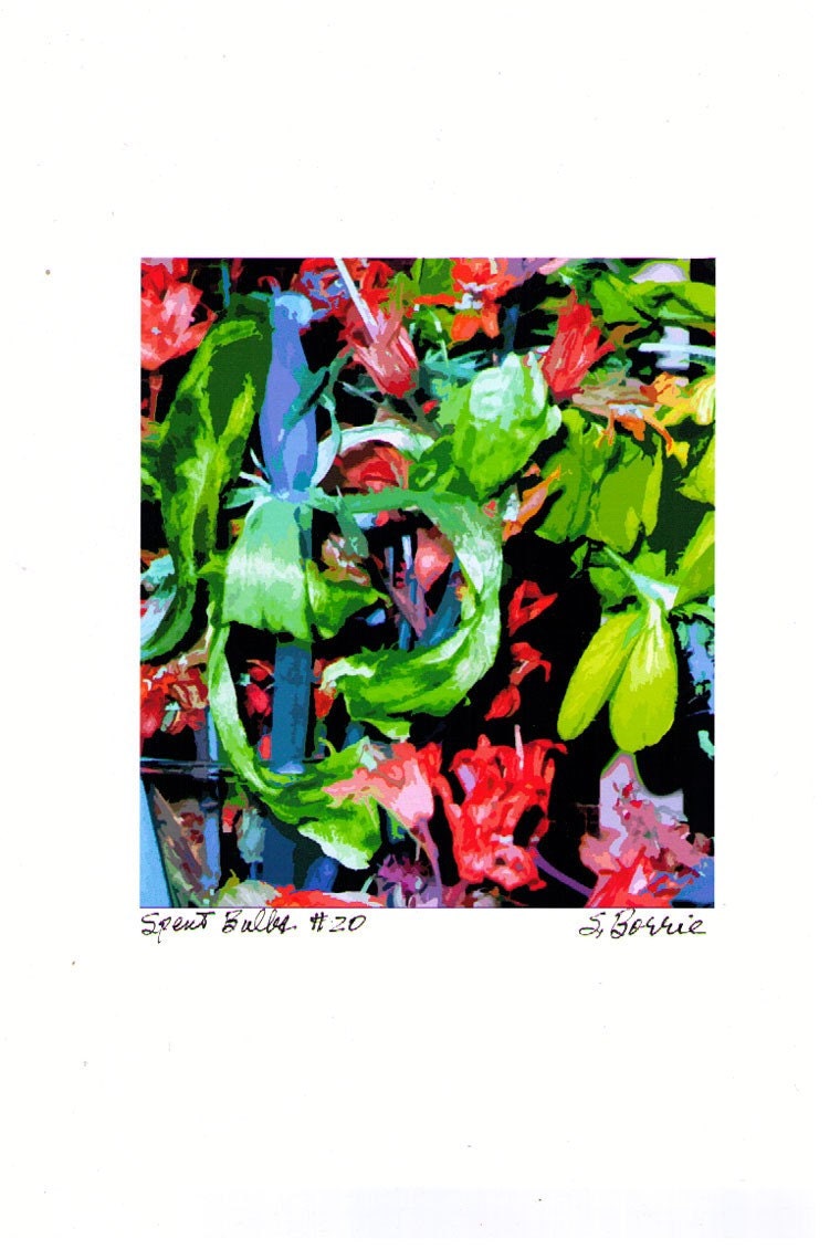 Art Print of Spent Bulbs - Digital Manipulation (no. 20)