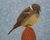 Tree Sparrow 5 - Original Hand-Pulled Bird Art Collograph Print