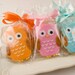 Owl Sugar Cookie Favors - Any Color (24 Favors, gift bagged and bowed)