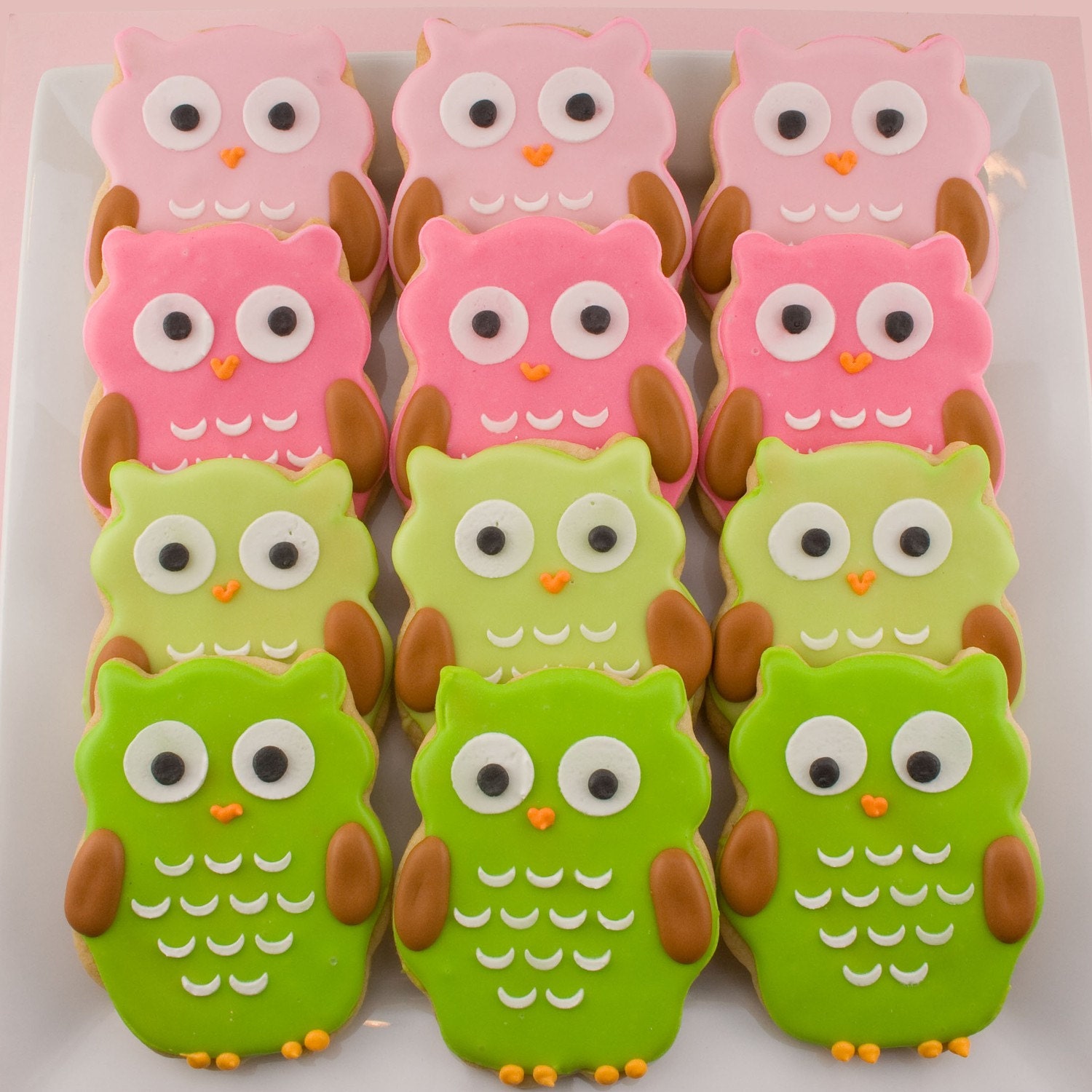 Owl Sugar Cookie Favors (12 favors, bagged and bowed)