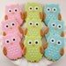 Owl Sugar Cookie Favors (12 favors, bagged and bowed)