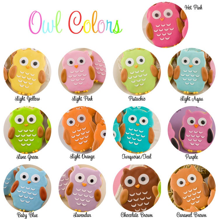 Owl Sugar Cookie Favors - 18 Favors (gift bagged and bowed)