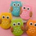 Owl Cookies, MINI SIZE owls - 4 dozen