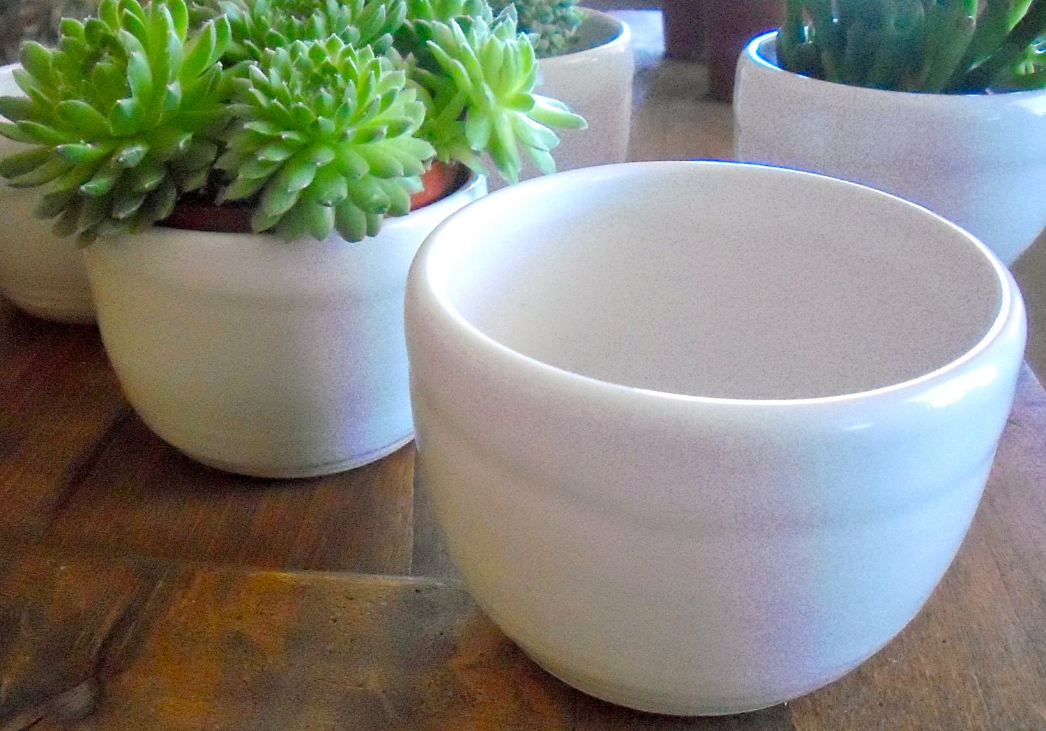 Ceramic Planter, Flower Pot, Indoor Outdoor Garden, White, Handmade Stoneware Pottery, Ready to Ship