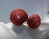 Cufflinks - Strawberry Tops Seashell Cufflinks - ShellScapes