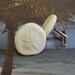 Sand Dollar Cuff Links