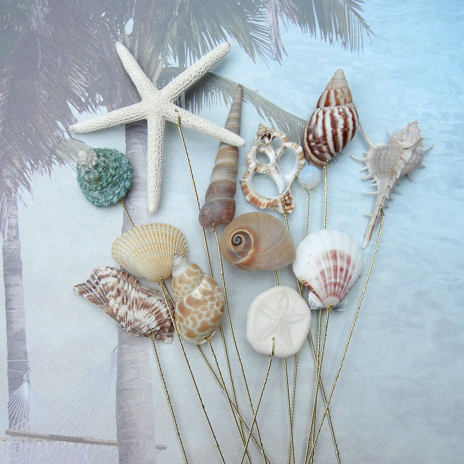 12 Naturally Colorful Large Seashells for Wedding Bouquets or Centerpieces