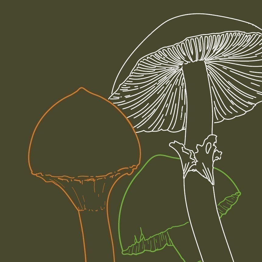 Woodland Mushrooms Graphic Tee Womens shirt Tshirt S M L XL XXL