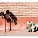 Desert Mailboxes Photograph - 8x10 fine art print - southwest wall art and room decor Arizona photo Tucson art salmon pink brick cactus