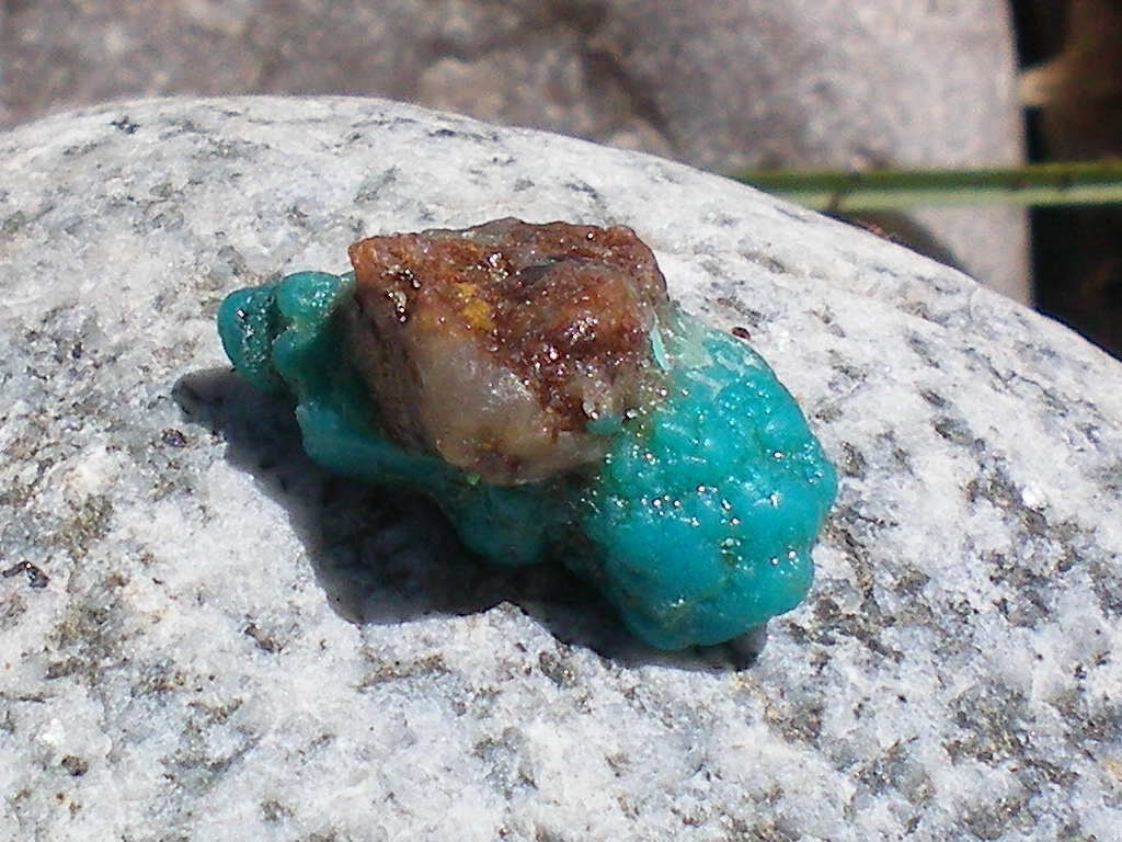 Arizona Turquoise N Brown