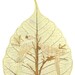 VALENTINE GIFT  No two leaf or leaf art exactly alike. Unique gift for your love Valentine Etsy  LOVE