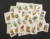 Aves .. Flora .. UNused Vintage Postage Stamps  .. post 10 letters