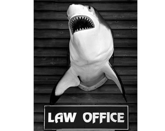 Lawyer Art, Law Office, Attorney at Law, Shark Humor