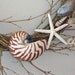 BEACH DECOR SEASHELL Wreath -- "Floating Shells," beach decor, floating starfish