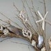 BEACH DECOR SEASHELL Wreath -- "Floating Shells," beach decor, floating starfish